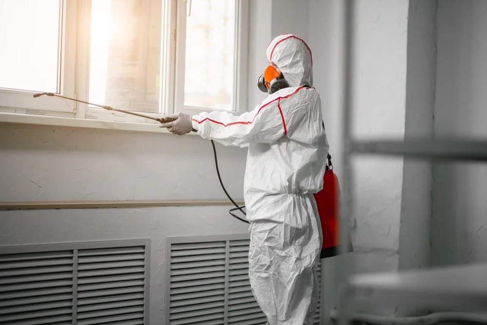 Professional mold remediation services in Pitman, NJ